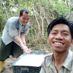 Mahasiswa KKN UIN Raden Fatah Palembang Ikut Ngangkit Karet Bersama Warga Desa Rimba Balai