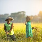 Ilustrasi petani