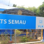 plts semau foto