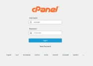 Jasa Install cPanel dari Focusnic