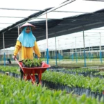 Astra Agro Perkuat Daya Saing Sawit Nasional Lewat Riset, Inovasi, dan Kolaborasi Global