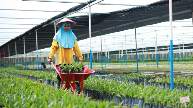 Astra Agro Perkuat Daya Saing Sawit Nasional Lewat Riset, Inovasi, dan Kolaborasi Global