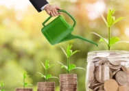 Strategi Investasi Reksadana di 2025: Cara Aman Raup Cuan Maksimal Tanpa Pusing Analisis Saham