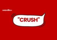 Arti Kata Crush dalam Bahasa Indonesia: Penjelasan Lengkap dan Cara Menggunakannya