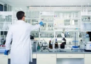 Fume Hood Laboratorium: Solusi Keamanan dan Efisiensi Laboratorium Modern