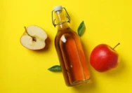 Jarang Diketahui! 10 Obat Herbal Terlaris yang Ampuh Atasi Alergi Kulit