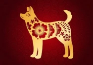 Ramalan Shio Anjing 2026 Lengkap: Karier, Keuangan, dan Cinta