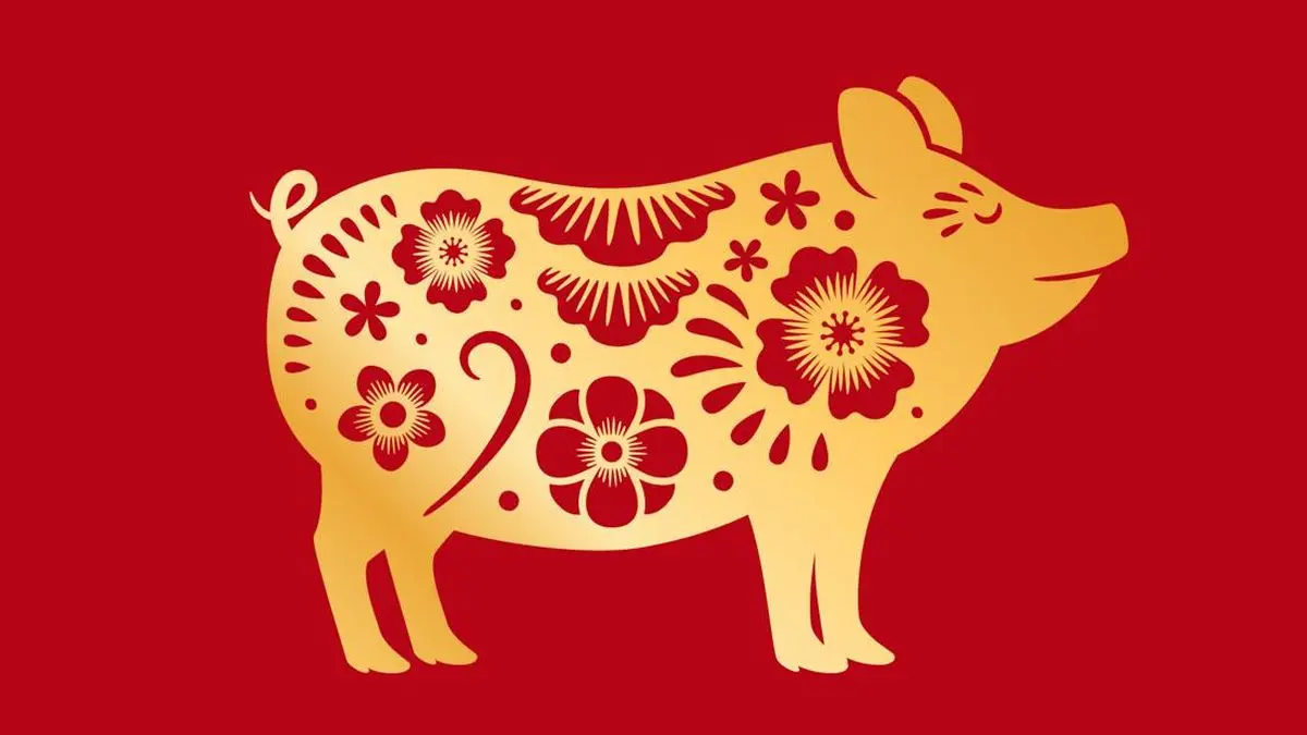 Ramalan Shio Babi 2026: Tahun Kuda Api Mengajarkan Keseimbangan dan Pengendalian Diri