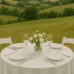 Reliable Glassware From balirentall.com For Villa Birthday Celebrations