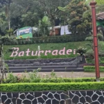 WhatsApp Image 2025-12-11 at 12.13.04