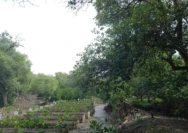 WhatsApp Image 2025-12-13 at 21.40.23