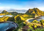 Komodo Island Tour: Panduan Liburan Seru Bersama Top Komodo Tour