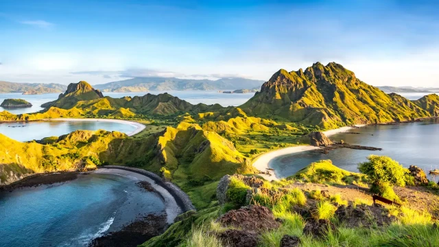 Komodo Island Tour: Panduan Liburan Seru Bersama Top Komodo Tour